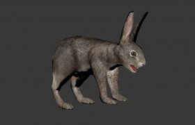 Hare