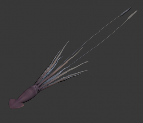 Gigant Squid