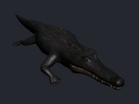 Crocodile (static)