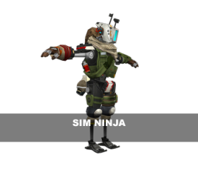 Sim Ninja