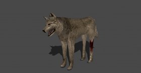 Dog injured version