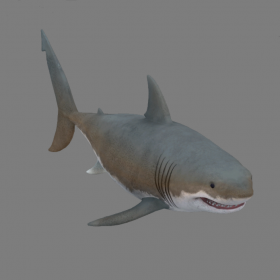 Jaws shark