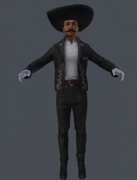 Mariachi Player