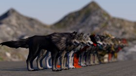 Wolves