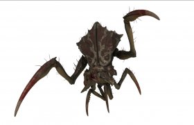 Antlion