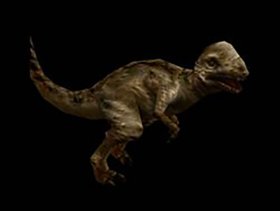 Pachycephalasaurus