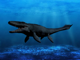 Mosasaurus