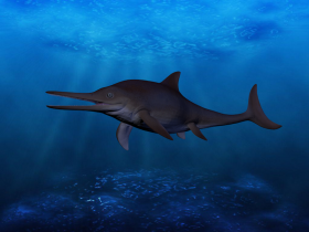Ichthyosaurus