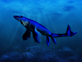 Metriorhynchus