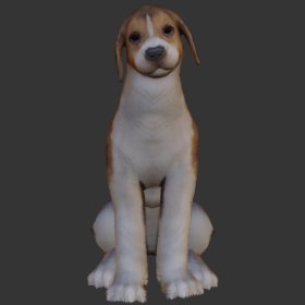 Beagle