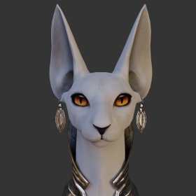 Sphynx Cat