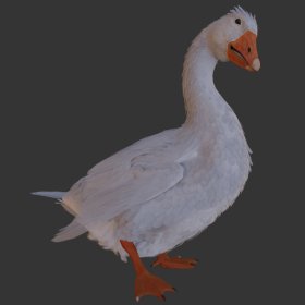 Goose