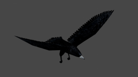 crow