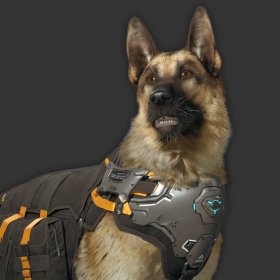 Shepherd