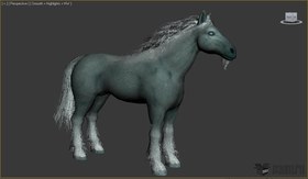 White horse