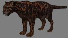 Shadow Leopard