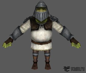 Shrek Knight