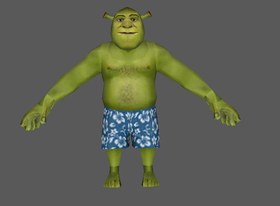 Shrek Swim Trunks