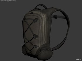 Back Pack